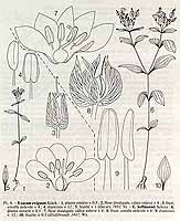  no thumbnail available