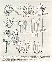  no thumbnail available