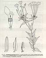  no thumbnail available