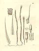  no thumbnail available