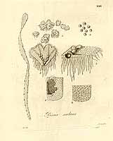  no thumbnail available