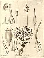  no thumbnail available