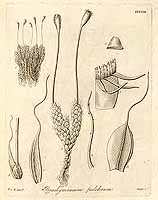  no thumbnail available