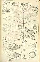  no thumbnail available