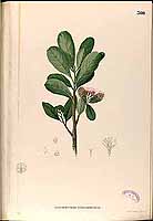  no thumbnail available