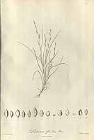  no thumbnail available