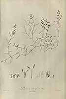  no thumbnail available