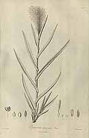  no thumbnail available