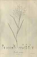  no thumbnail available