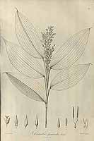  no thumbnail available