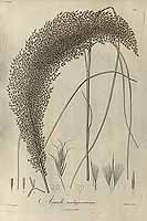  no thumbnail available