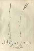  no thumbnail available