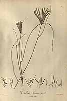  no thumbnail available