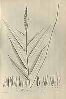  no thumbnail available