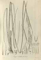  no thumbnail available