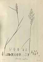  no thumbnail available