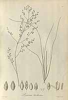  no thumbnail available