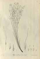  no thumbnail available