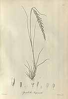  no thumbnail available