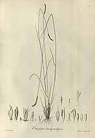  no thumbnail available