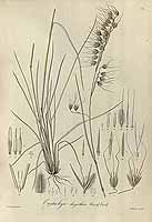  no thumbnail available