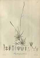  no thumbnail available