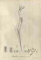  no thumbnail available