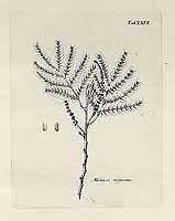  no thumbnail available