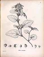  no thumbnail available