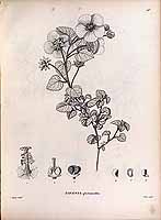  no thumbnail available