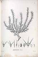  no thumbnail available