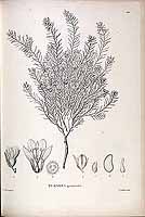  no thumbnail available