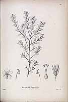  no thumbnail available