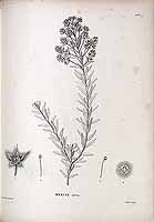  no thumbnail available