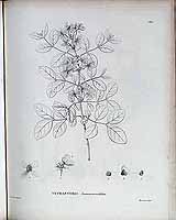  no thumbnail available