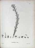  no thumbnail available