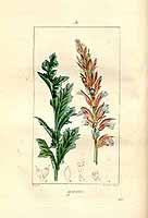  no thumbnail available