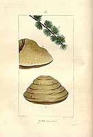  no thumbnail available