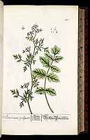  no thumbnail available