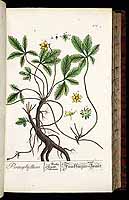  no thumbnail available