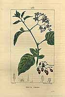  no thumbnail available