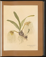  no thumbnail available