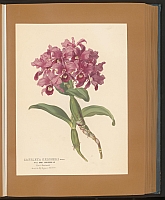  no thumbnail available