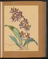  no thumbnail available