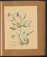  no thumbnail available