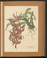  no thumbnail available